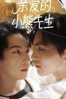 《亲爱的小熊先生》电视剧全集免费观看高清完整版全集